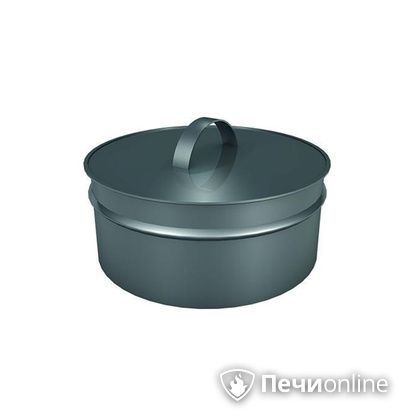 Заглушки Теплов и Сухов Заглушка ревизии Термо-Р 304 0.5 D300(200) в Томске