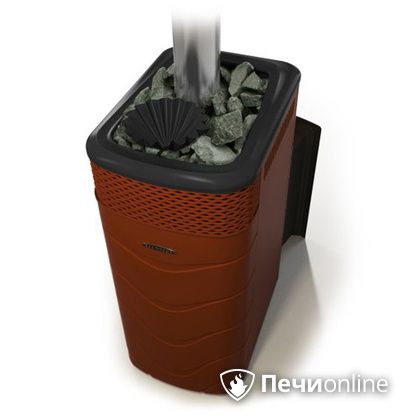 Дровяная банная печь TMF Гейзер XXL 2017 Inox Витра закрытая каменка терракота в Томске